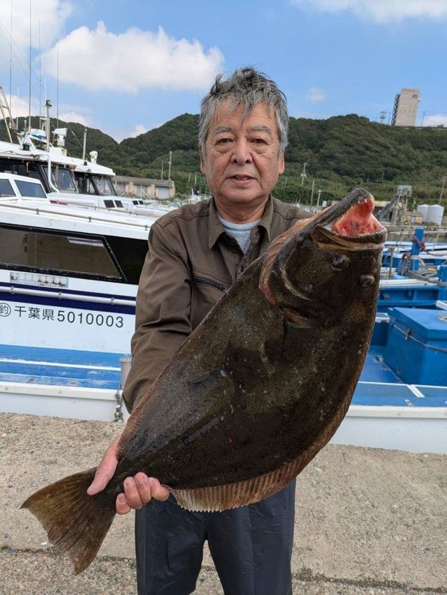 ヒラメ