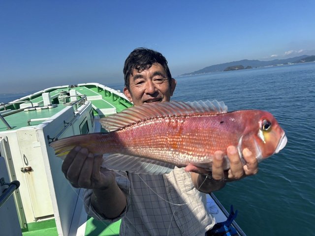 アマダイ(アカアマダイ)