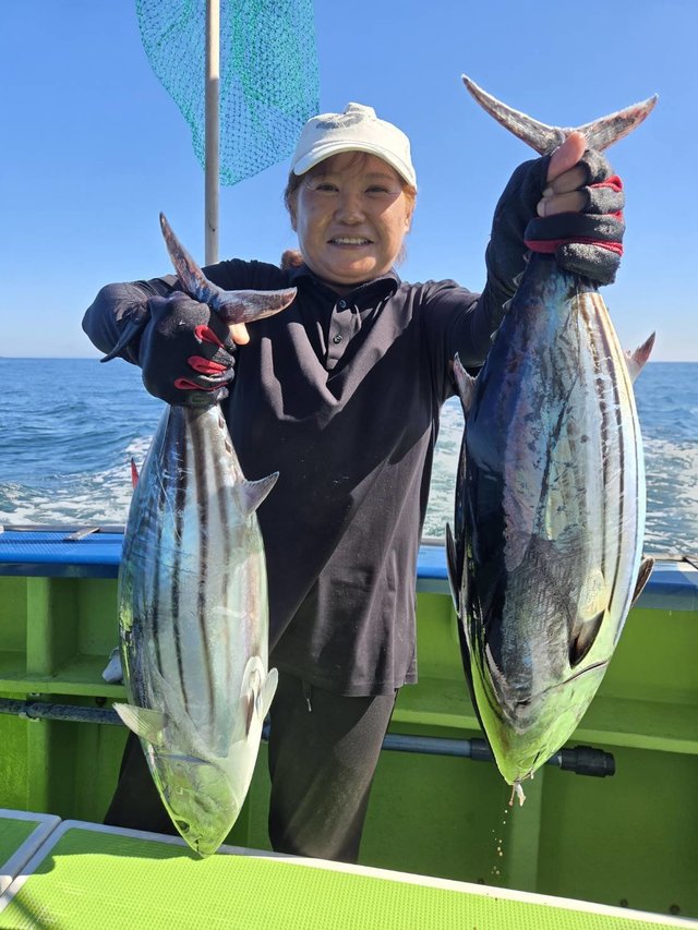 カツオ