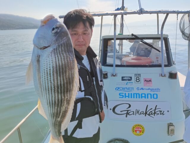 ヘダイ