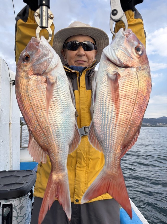 マダイ