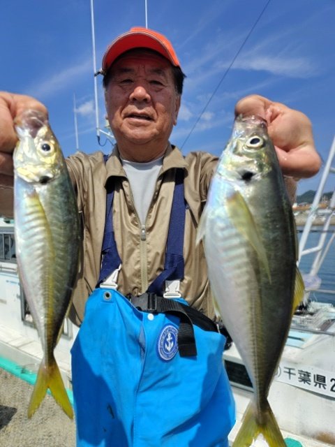 アジ(マアジ)