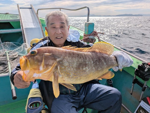 アオナ(アオハタ)