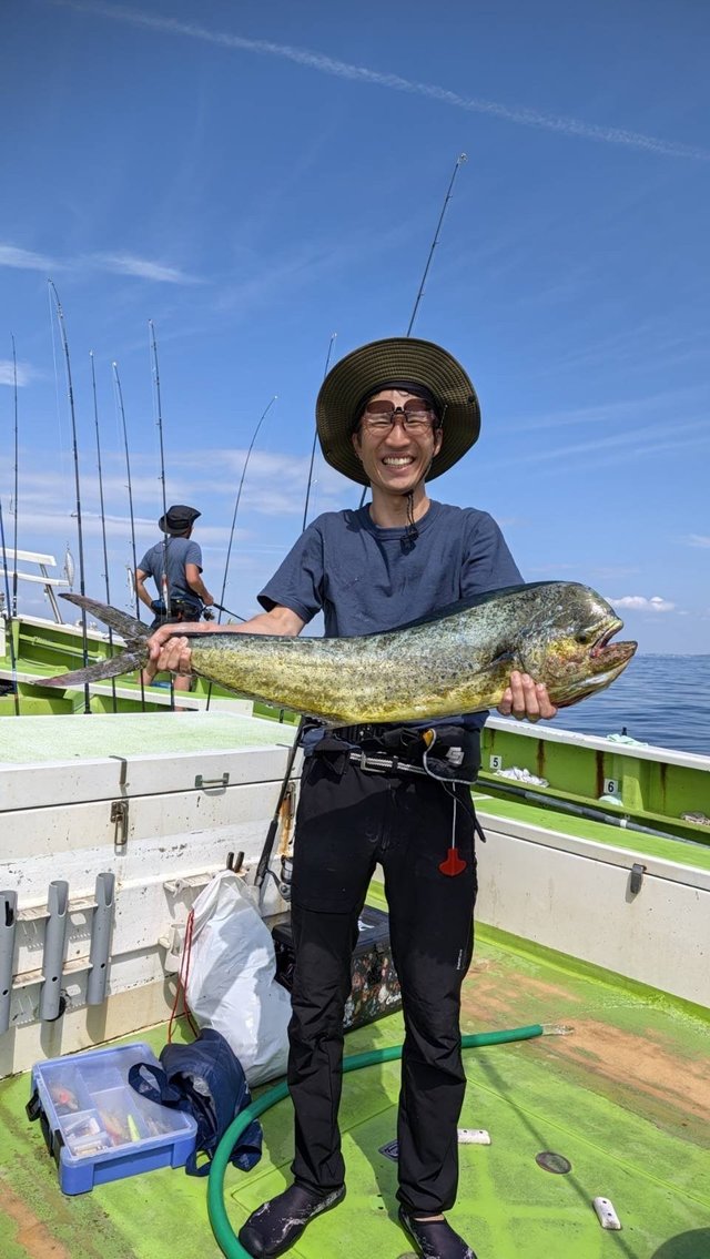 シイラ