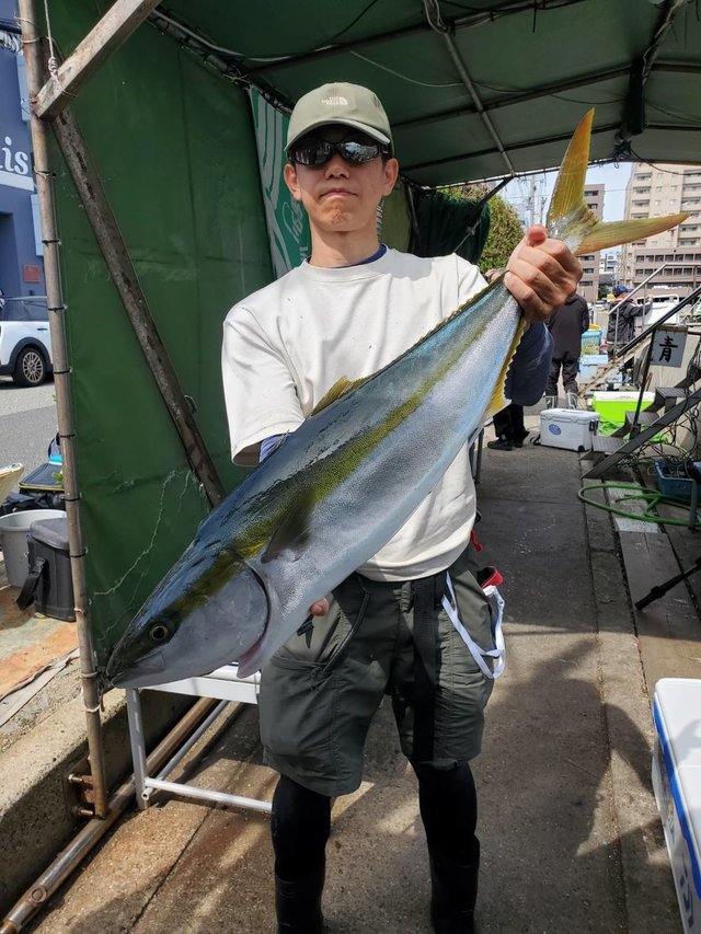 メジロ(ブリ)