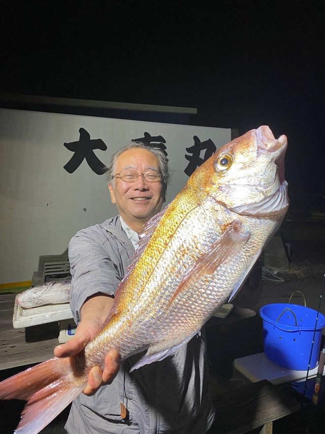 マダイ