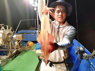 ケンサキイカ
