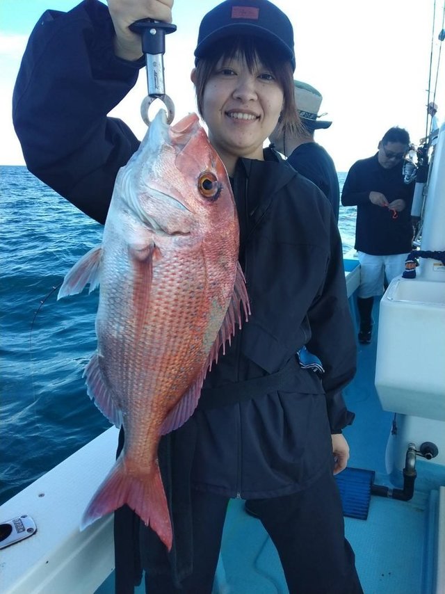 マダイ