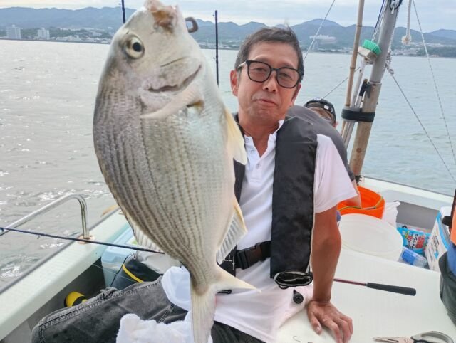 ヘダイ