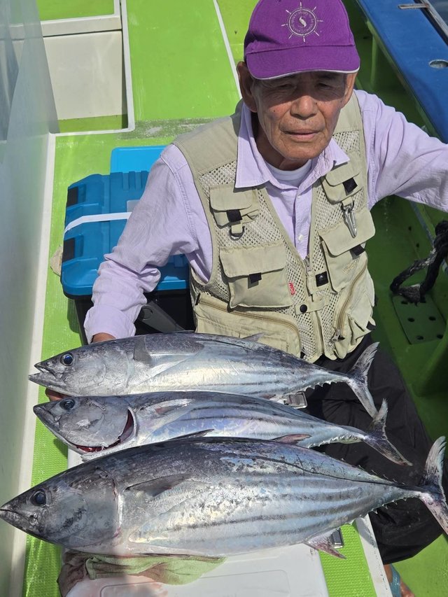 カツオ