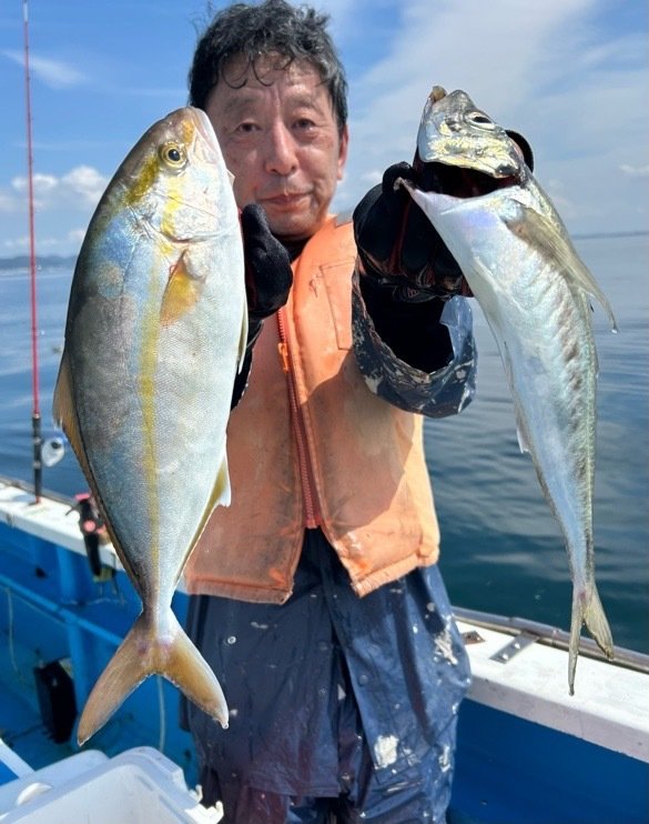 マアジ・ショゴ(カンパチ)