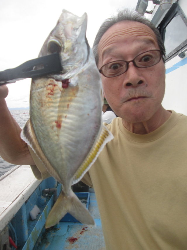カイワリ