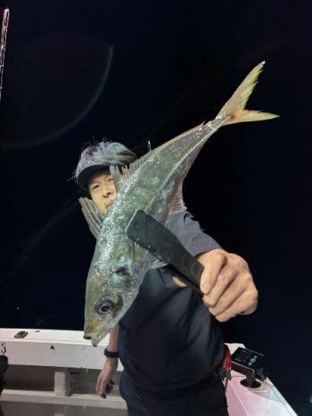 アジ(マアジ)