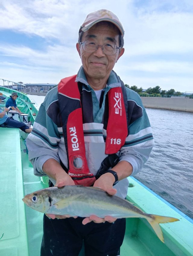 アジ(マアジ)