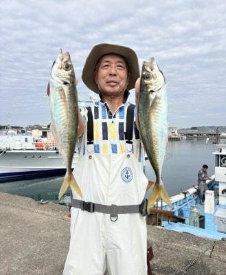 アジ(マアジ)