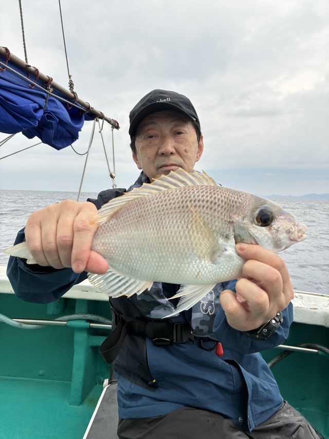 メイチダイ