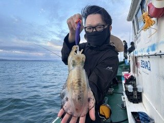 アオリイカ