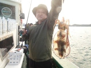 アオリイカ