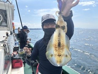アオリイカ