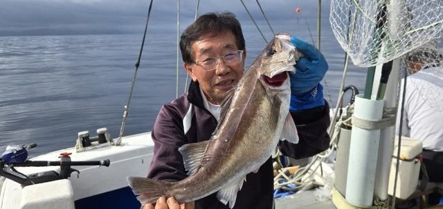 アラ
