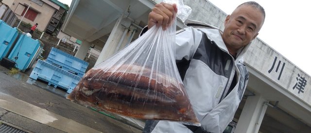スルメイカ