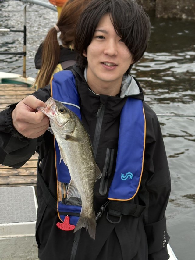シーバス(スズキ)