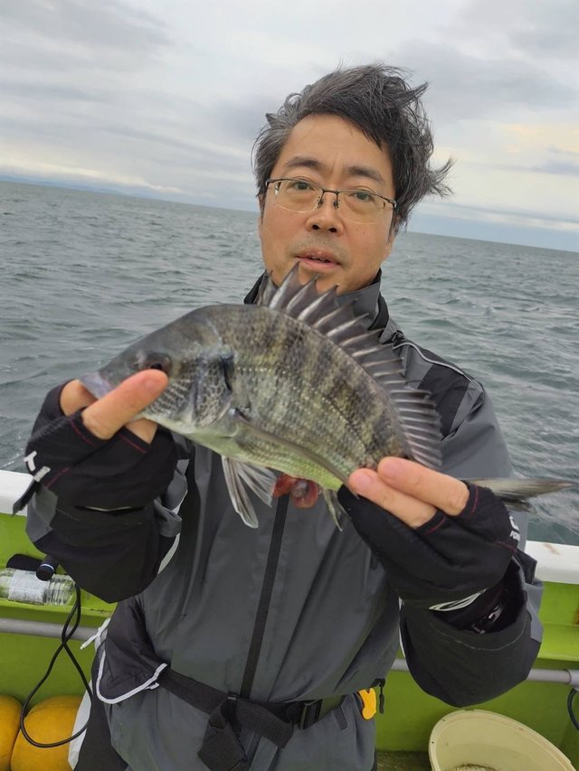 クロダイ