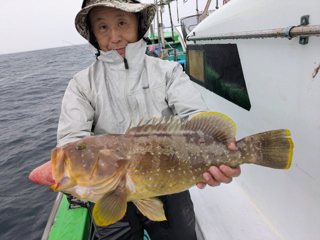 アオハタ