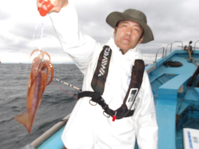 スルメイカ