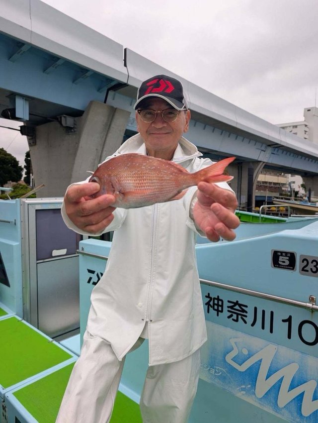 マダイ