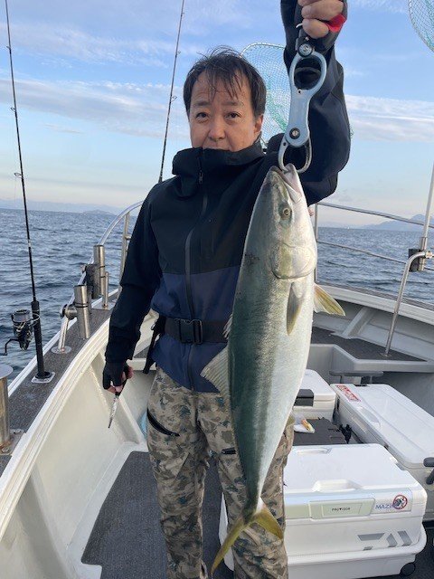 ハマチ(ブリ)