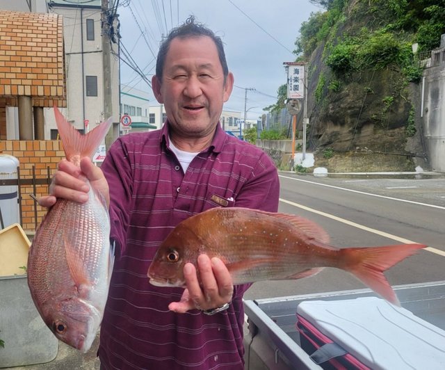 マダイ