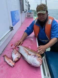マダイ・アマダイ(アカアマダイ)