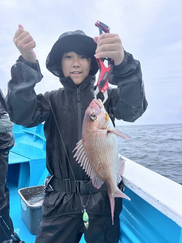 マダイ
