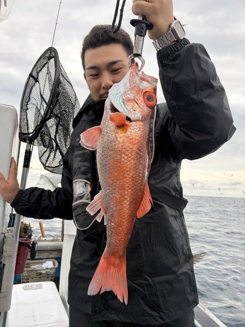 アカムツ