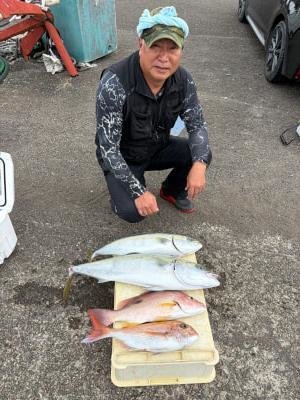 マダイ・メジロ(ブリ)