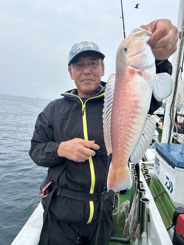 シロアマダイ