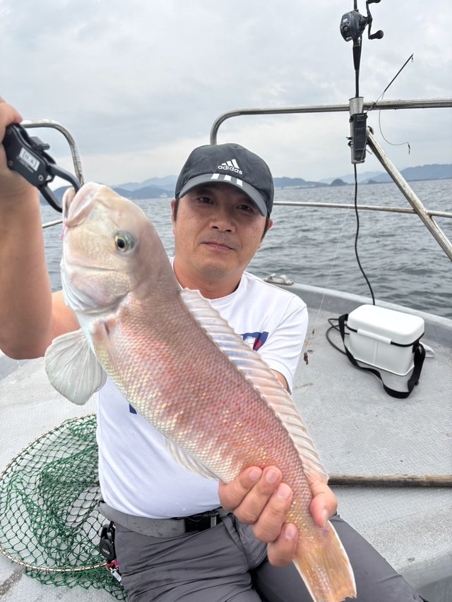 シロアマダイ