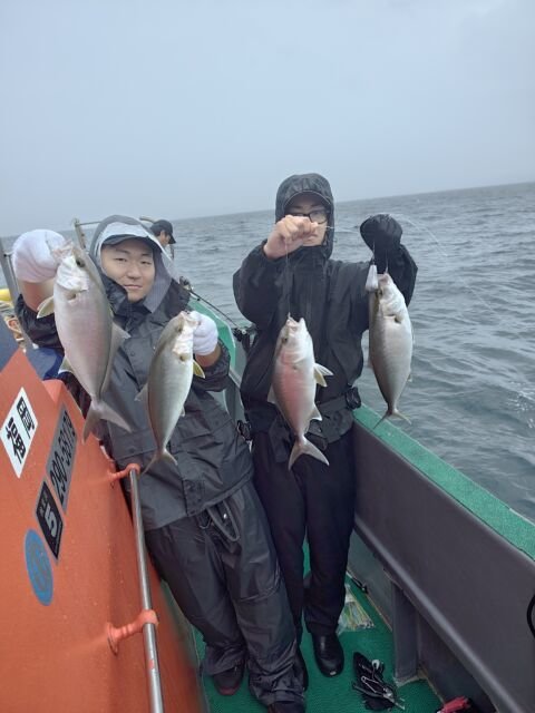 カンパチ