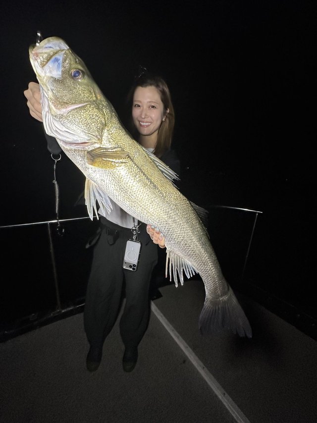 スズキを九州・沖縄で釣った最新釣果、釣り情報【2026年10月】