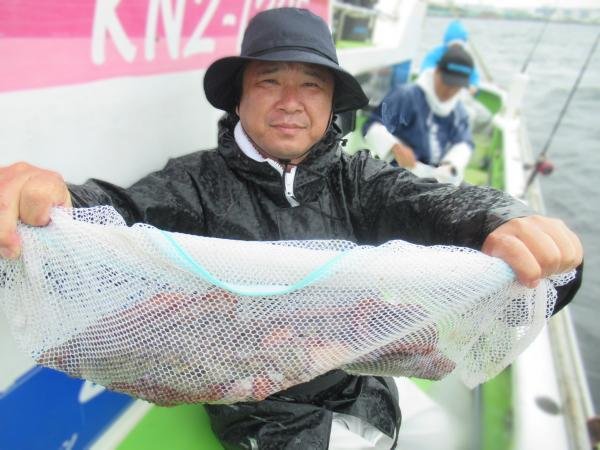 マダコ
