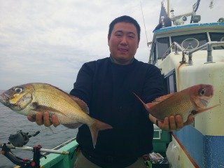 マダイ