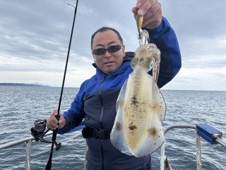 アオリイカ