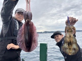 アオリイカ