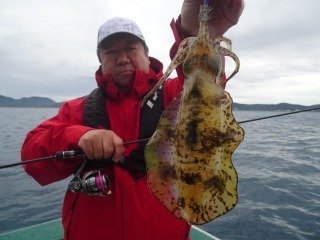 アオリイカ