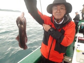 アオリイカ