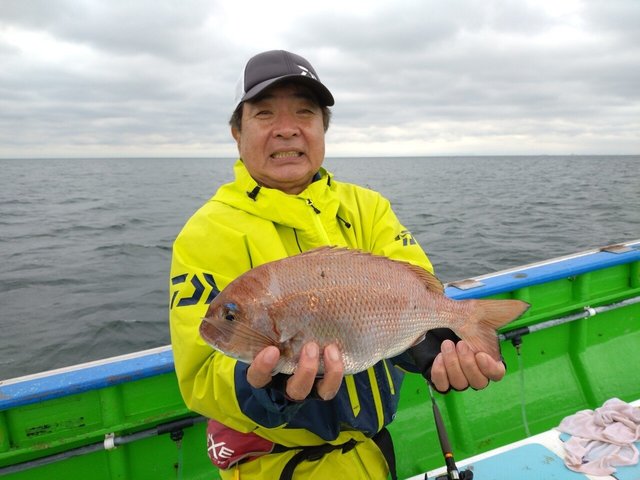 マダイ