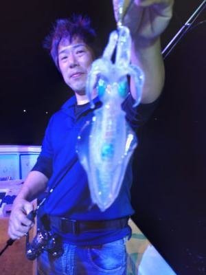 アオリイカ