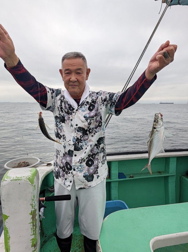 アジ(マアジ)