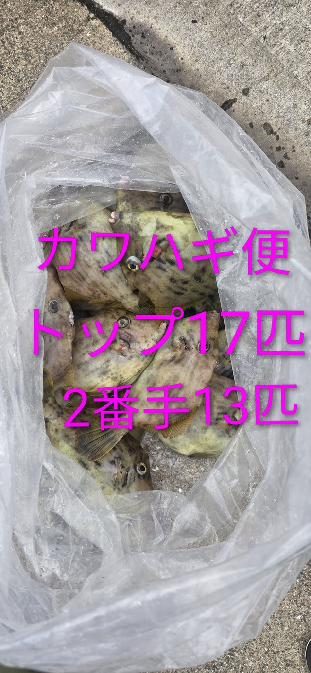 カワハギ